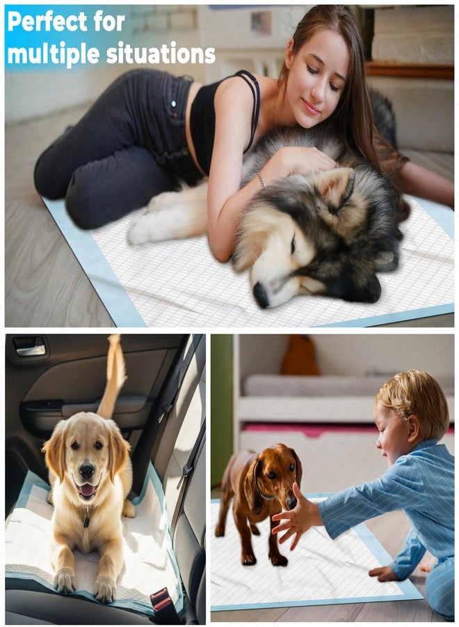 OTICA Pet Training Pad (10 pcs, 60 X 45 CM) - Pee Training Pad For Puppies, Dogs, Cats | 5 Layer Design Leak Proof Pads | Quick Dry Design - Image 5